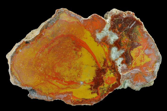 Polished Yellow Cat Jasper Replaced Petrified Wood Slab - Utah #152679